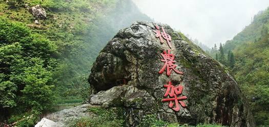 父母们的焦虑是孩子不成器的原因,要注意什么呢?-专业问答平台